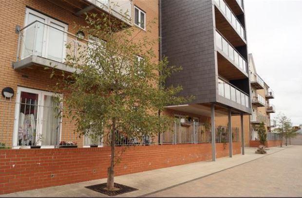 Vetrelax Chelmsford Apartment Eksteriør bilde